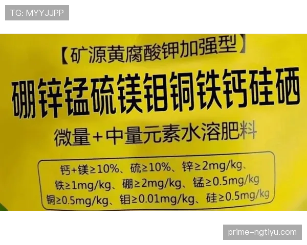 篮球规则中暂停时间限制的具体时长与执行标准解读